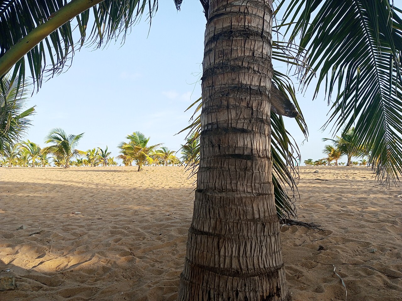 Plage de Fidjrossè